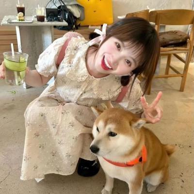 神枪少女第二季