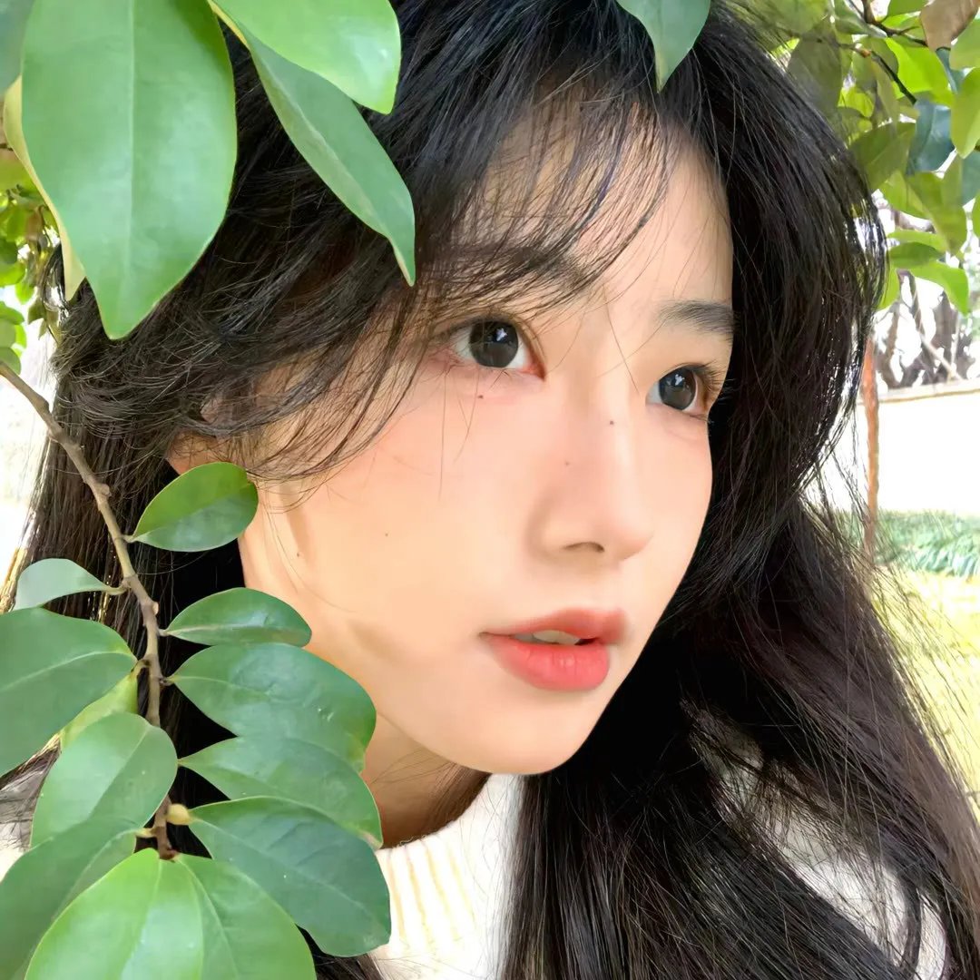 雾影情怀