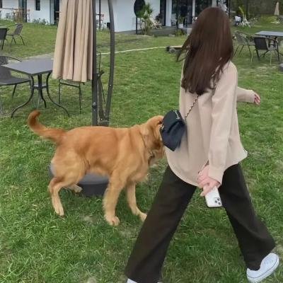 来自纽约的女孩